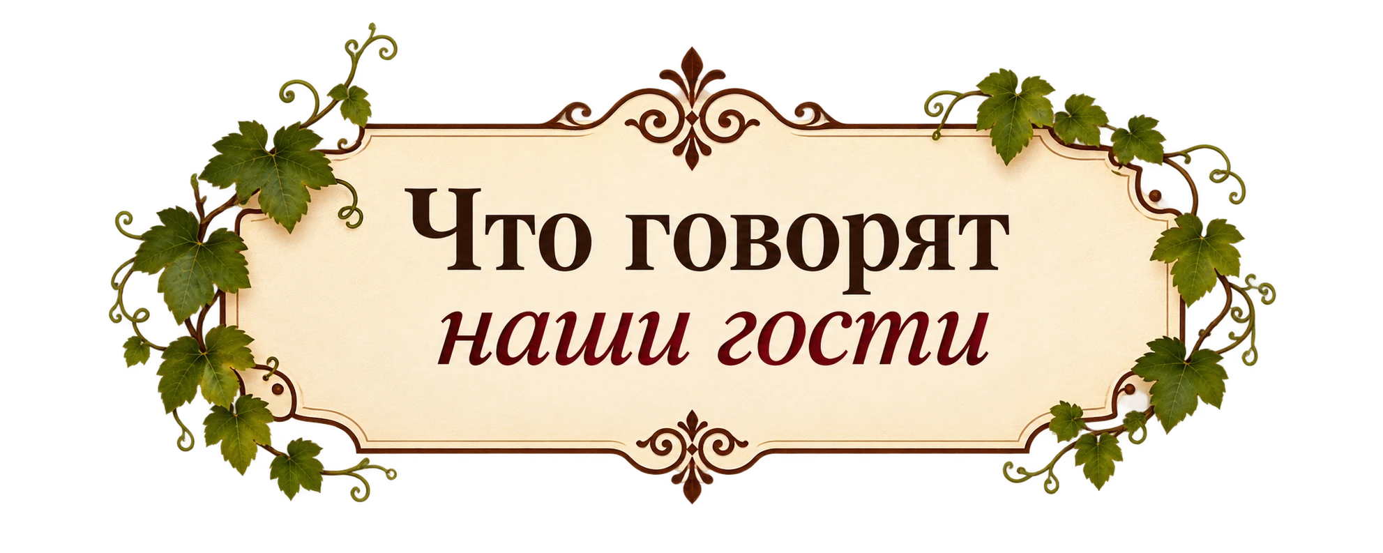Что говорят наши гости